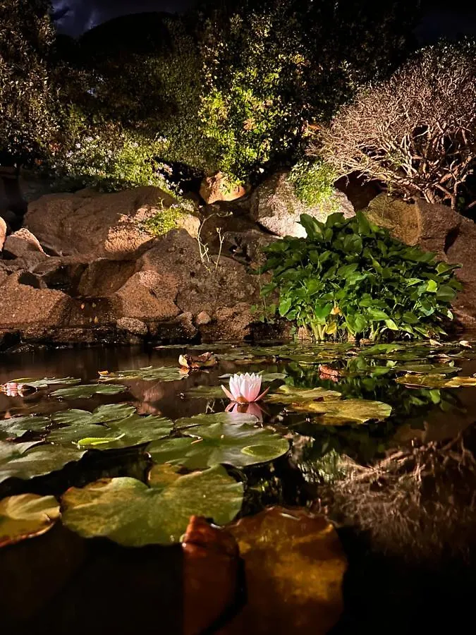 Ferienhaus Suitehome Pevero Seaview&Spapool Porto Cervo